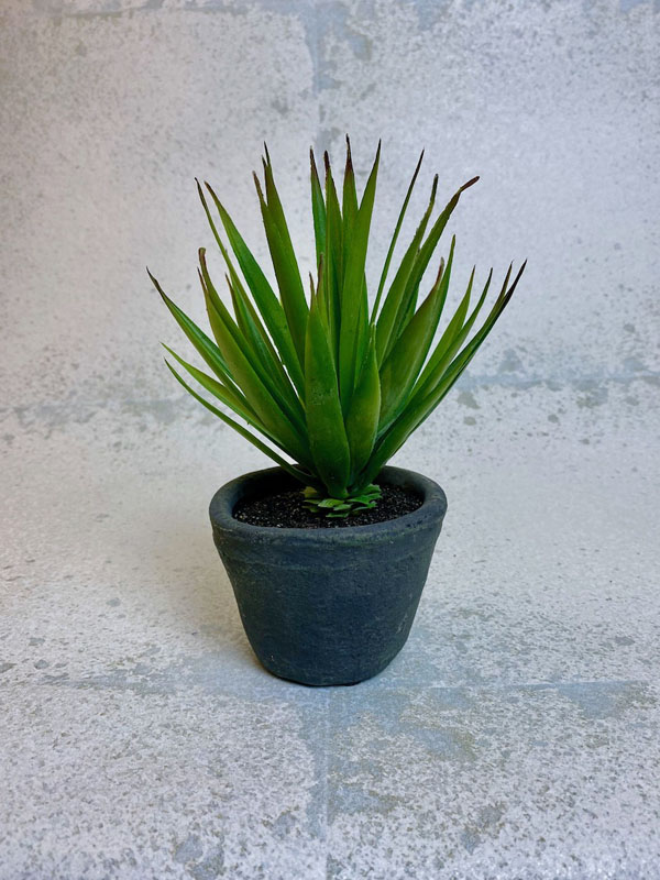Small Faux Green Plant