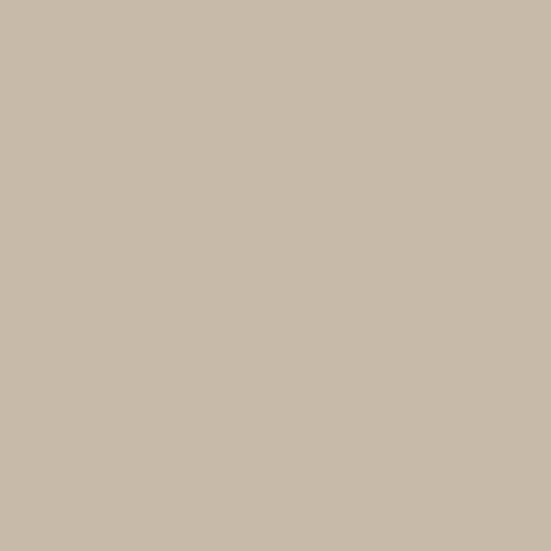 Pale Umber - Zoffany Paint